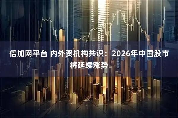 倍加网平台 内外资机构共识：2026年中国股市将延续涨势